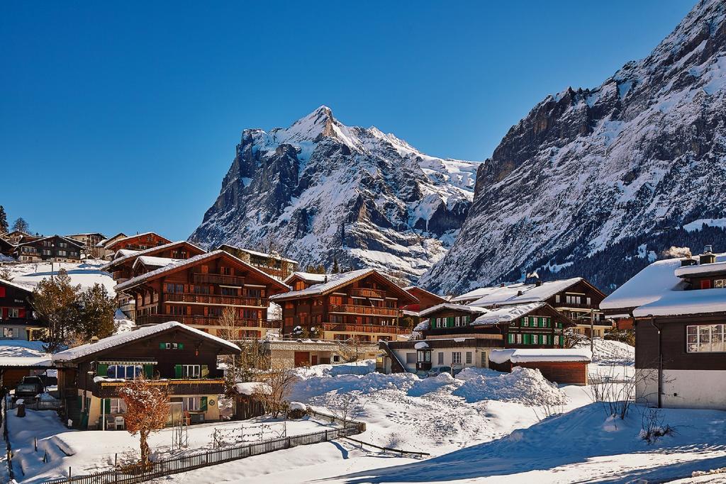 Alpine Boutique Apartments, Fagus Grindelwald Extérieur photo