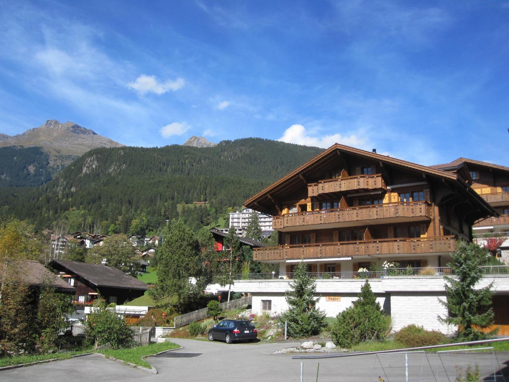 Alpine Boutique Apartments, Fagus Grindelwald Extérieur photo